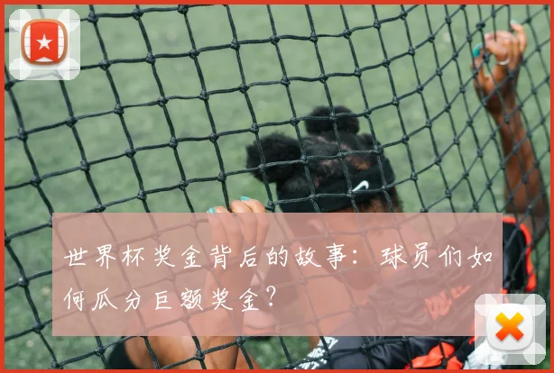 世界杯奖金背后的故事:球员们如何瓜分巨额奖金?