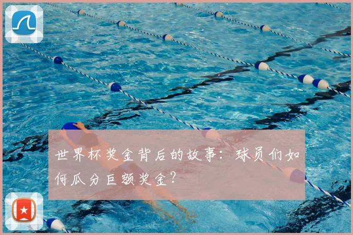 世界杯奖金背后的故事:球员们如何瓜分巨额奖金?