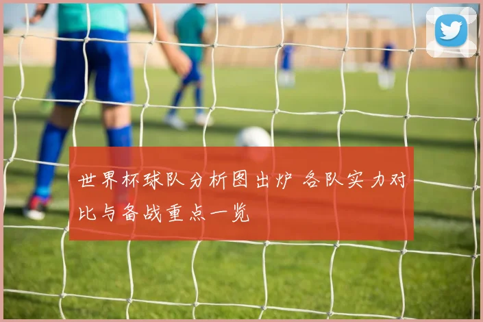 世界杯球队分析图出炉 各队实力对比与备战重点一览