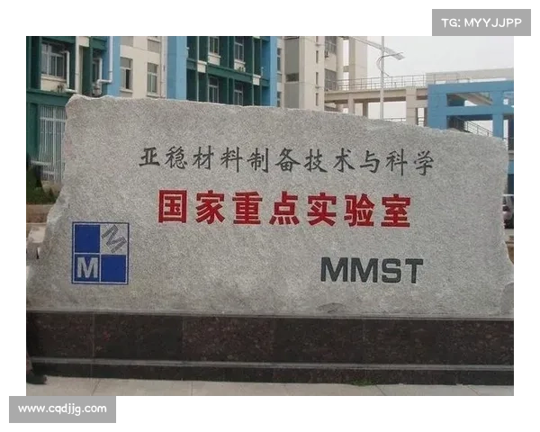 如何从多维度解读安联赞助商的战略意义与品牌影响力