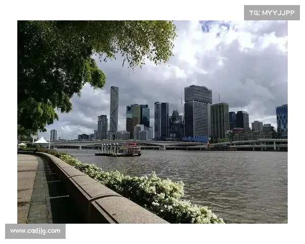 广汽行致互联携手深圳碧波队稳居前四位置解析