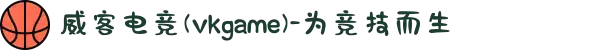 威客电竞(vkgame)-为竞技而生
